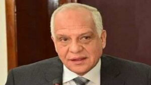 مجازاة نواب رؤساء الوحدات المحلية بالجيزة