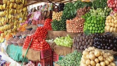 الخضار والفاكهة