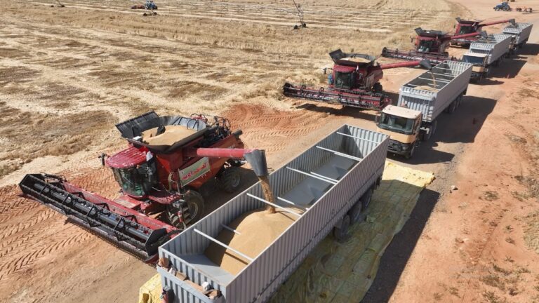 مشروع توشكى