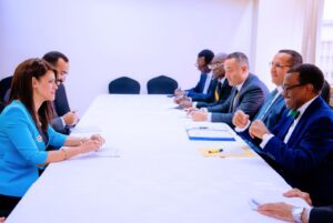 المشاط تلتقي رئيس بنك التنمية الأفريقي لمناقشة محفظة التعاون المشترك