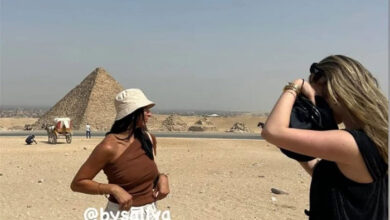 وسام أبو علي