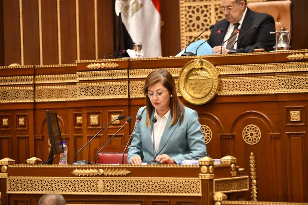 هالة السعيد خطة التنمية الاقتصادية  للعام المالي الجديد ترتكز على ترشيد كافة أوجه الإنفاق العام