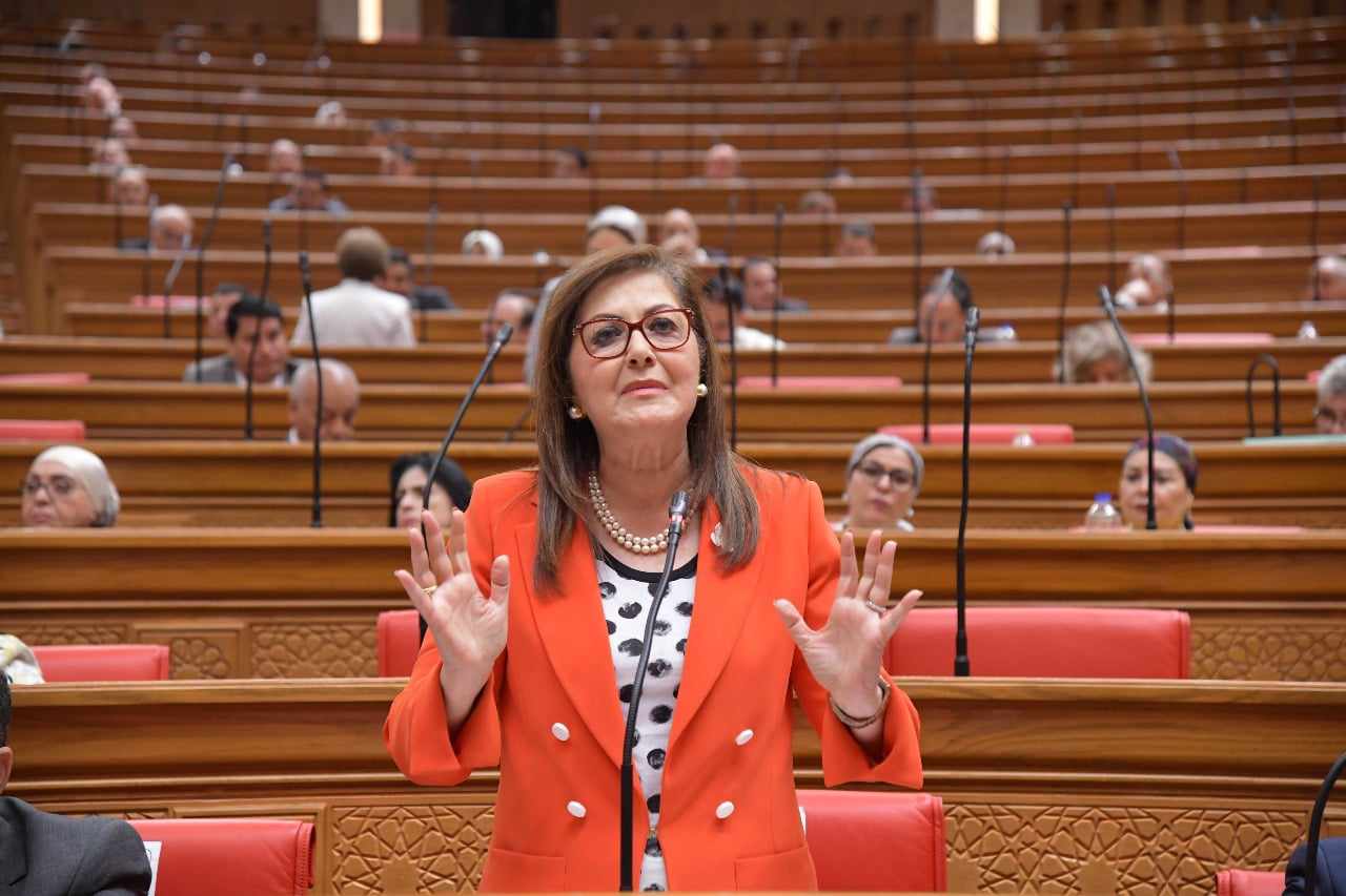 وزيرة التخطيط:4250 أصل غير مستغل