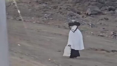 الحاجة المصرية