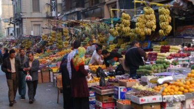الخضار والفاكهة