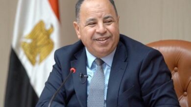 وزير المالية