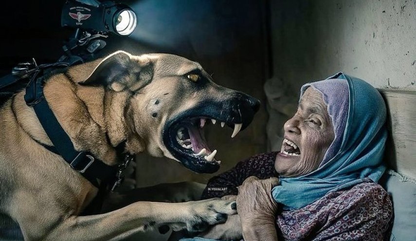 الأمم المتحدة: استخدام الاحتلال الكلاب ضد المعتقلين الفلسطينيين انتهاك خطير