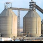 بني سويف للأسمنت