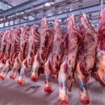 اللحوم الحمراء