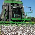 عمومية العربية لحليج الأقطان ترحل 68 مليون جنيه أرباحاً وتنتخب مجلساً جديداً