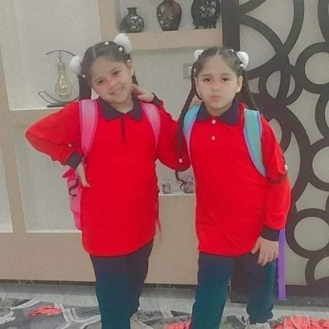 مصرع طفلتين وإصابة 3 من أسرة واحدة في حادث تصادم بطريق الإسكندرية الصحراوي