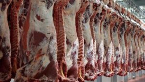 تبدأ من 230 جنيهًا.. أسعار اللحوم الحمراء في مصر الخميس