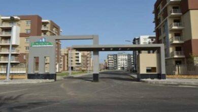 جهاز دمياط الجديدة
