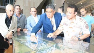 محافظ الجيزة