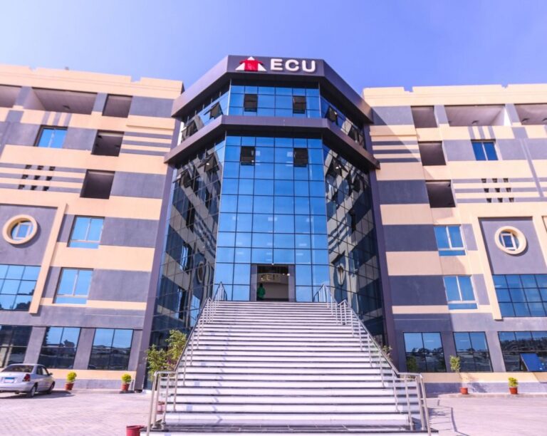 الجامعة المصرية الصينية