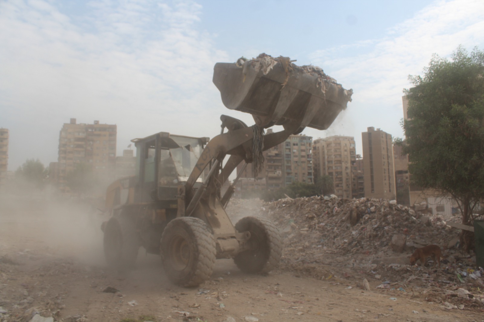 رفع ٤٢٠٠ طن مخلفات ورتش من أرض المطاحن بشارع فيصل فى الجيزة