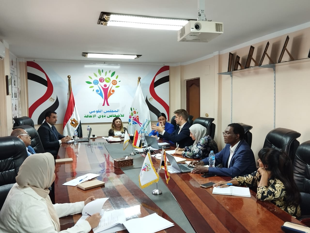 مجلس الإعاقة يستقبل وفدًا من منظمة العمل الدولية لبحث سبل التعاون بين الجانبين