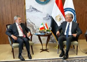 بدوي يستقبل السفير الايطالي لبحث سبل التعاون في قطاع الطاقة