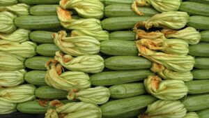 الكوسة تحمي من السرطان ولها فوائد عديدة ..تعرف عليها