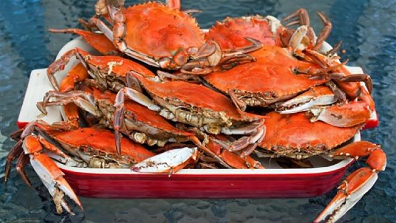 البلطى بـ ٨٨ جينهًا.. تعرف على أسعار السمك اليوم بالسوق المحلى