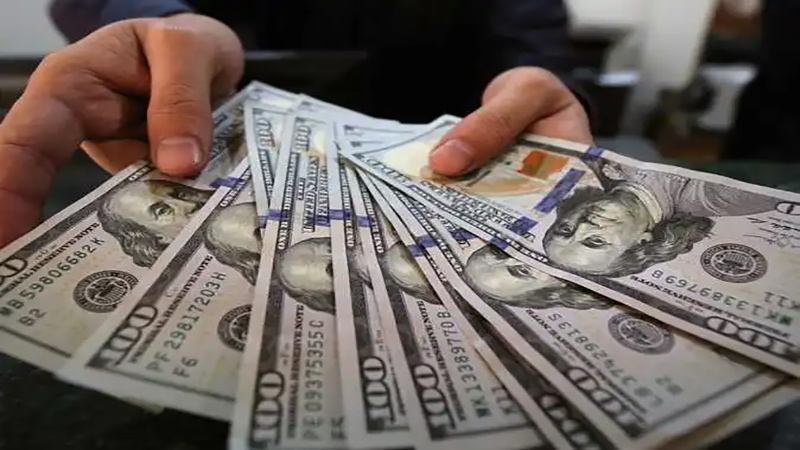 أسعار الدولار في مصر اليوم الاحد