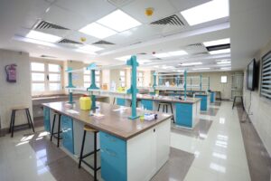 جامعة الإسكندرية