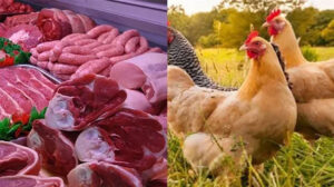 ارتفاع أسعار اللحوم واستقرار  الدواجن بالسوق المحلي الخميس