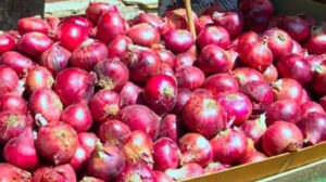 البصل بـ٢١ جنيهًا.. أسعار الخضراوات والفاكهة اليوم في الأسواق