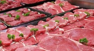 استقرار أسعار اللحوم والدواجن اليوم بالسوق المحلى