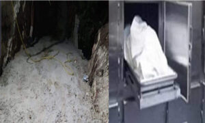 جريمة بشعة في اسيوط …يقتل شقيقه ويصب عليه  الاسمنت