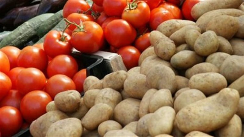 الطمام بـ١٨ جنيهًا.. تباين أسعار الخضروات والفاكهة في السوق المحلي السبت