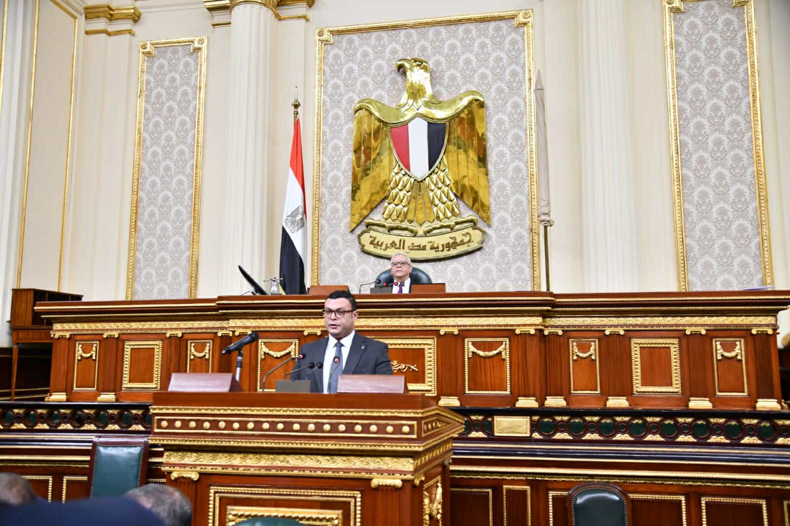 أمام النواب.. الشربيني يستعرض جهود الوزارة للارتقاء بمستوى خدمات مياه الشرب والصرف الصحى