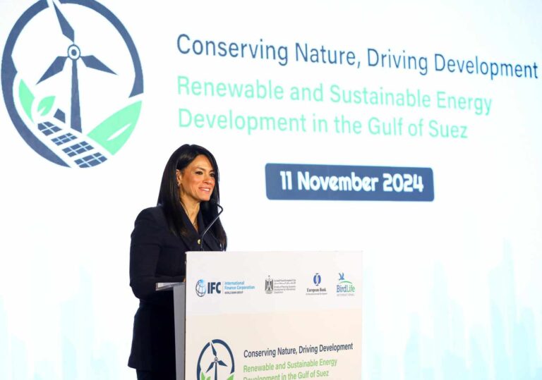 وزيرة التخطيط