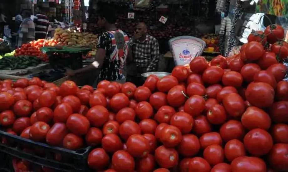 الكيلو بـ 7 جنيه.. تراجع أسعار الطماطم بالأسواق المحلية