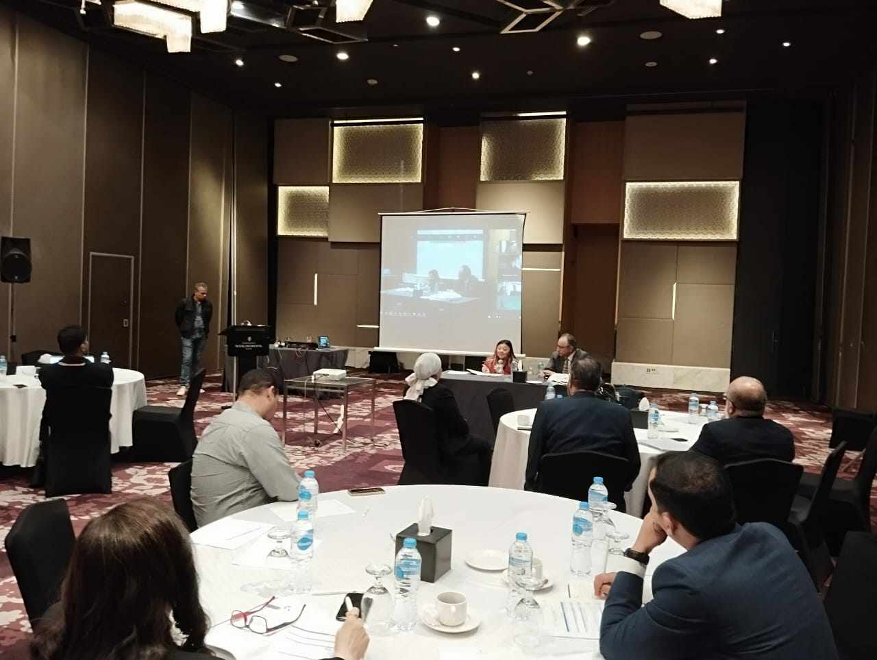 “القومي لذوي الإعاقة” يشارك في الاجتماع السابع لفريق خبراء “مابين الدورات”