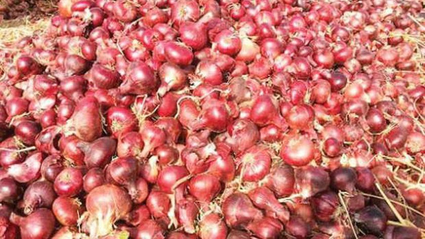 أسعار الخضروات والفواكه بالسوق المصري اليوم