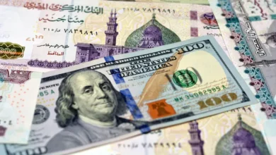 الجنيه ينخفض أمام الدولار