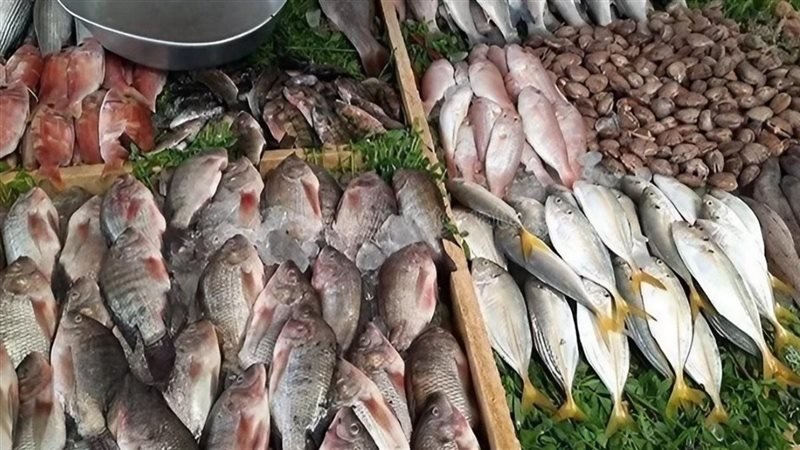 تباين أسعار المأكولات البحرية والأسماك اليوم بالأسواق