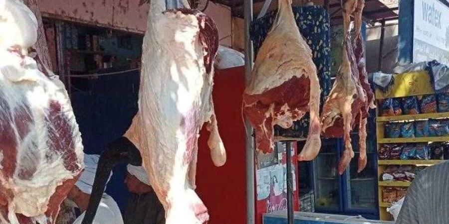 أسعار اللحوم والدواجن والبيض اليوم في الأسواق