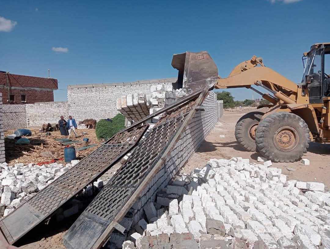 إزالة 444 حالة تعدٍ على الأراضي الزراعية وأملاك الدولة بالمنيا