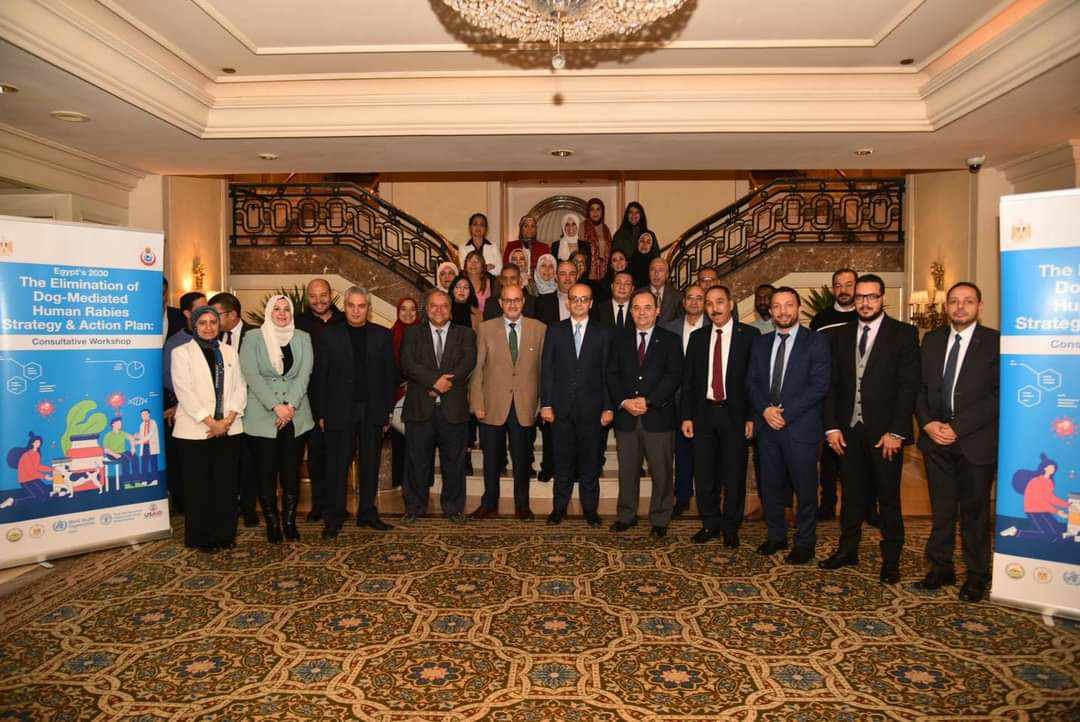 بعد وفاة 70 ألف شخص سنويًا..«الصحة» تنظم ورشة “تحديث استراتيجية مصر 2030 للقضاء على السعار المنقول عن طريق الكلاب”