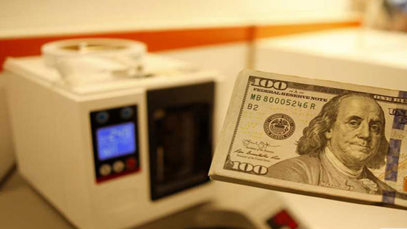 الدولار يهبط من مستواه القياسي إلى أقل من 51 جنيها في تعاملات البنوك اليوم