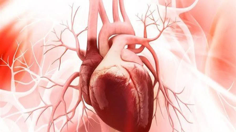 دراسة: صحة القلب قد تتدهور منذ الطفولة لهذا السبب