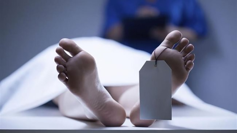 بقطعة حديدية.. حفيد ينهي حياة جده ويعتدي على عمه بسبب خلاف على الميراث بالشرقية