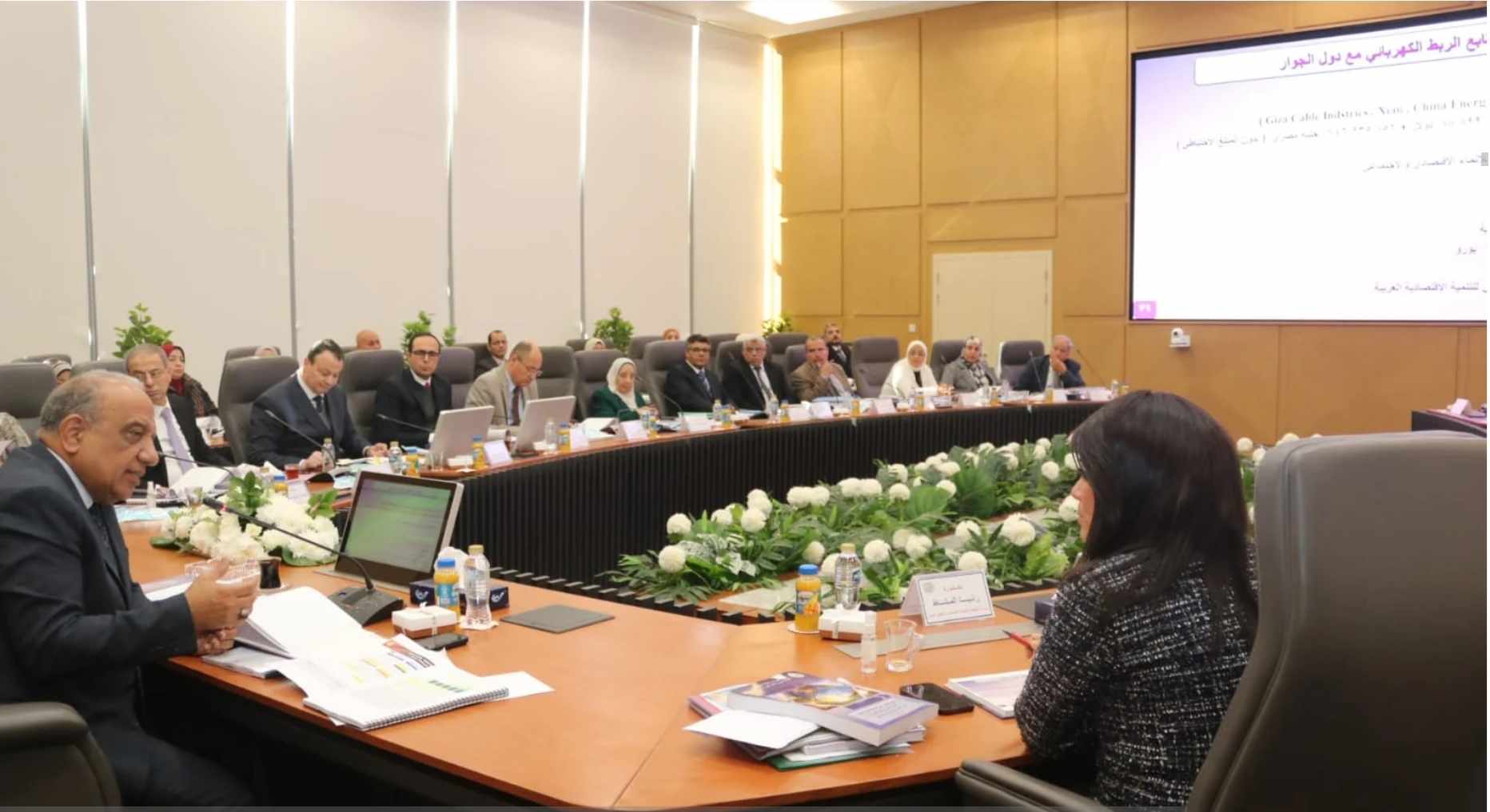 المصرية لنقل الكهرباء تعلن عن نتائج خطة الشركة لعام ٢٠٢٤