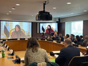 المشاط : شراكتنا مع الاتحاد الأوروبي تمثل نموذجًا يحتذى به