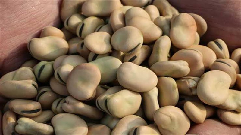 أسعار الفول والزيت والدقيق  اليوم بالأسواق