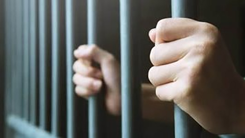 تركها في الشارع.. القبض على الخال المتهم بإنهاء حياة ابنة شقيقته في المعصرة