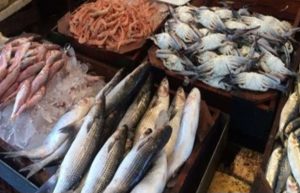 أسعار الأسماك والمأكولات البحرية اليوم بالسوق المحلي