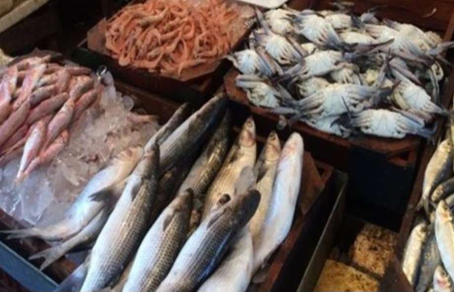 أسعار الأسماك والمأكولات البحرية اليوم بالسوق المحلي